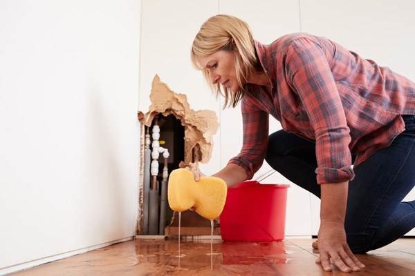 Water & Flood Damage